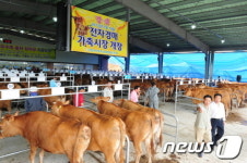 고창 흥덕에 최첨단 한우가축경매장 개장