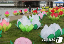 [사진]불꽃 보고 연꽃연등도 감상