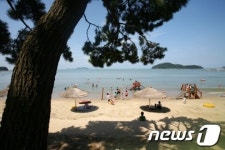 송호해수욕장
