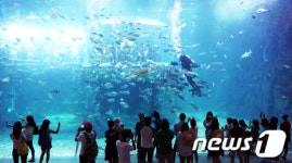 푸른 여수엑스포 속으로