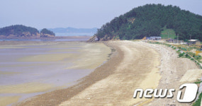 올 여름휴가 보령으로 오세요