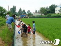 올 여름 추억은 가족과 함께 팜스테이에서
