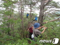 소백산 숨은 비경 ‘구봉팔문’ 실체 밝힌다
