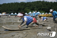 제2회 전남도지사배 레저뻘배대회 성료