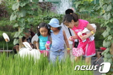 예천곤충엑스포 친환경 농원 인기