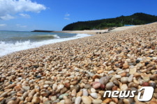 전남도, 영광 송이도서 특별한 여행 진행