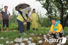 [사진]이창희 진주시장 수해 점검