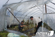 청양군의회, 긴급 복구대책 협의