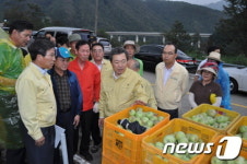 [사진]맹형규 행안부 장관, 문경 과수 피해 농가 방문