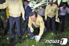 [사진]맹형규 행안부 장관, 문경 과수 피해 농가 방문