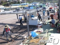 전남 영광군, 법성항 불법 어항시설 행정대집행 실시