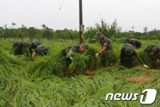 3공수특전여단, 여주 가남면 수해 복구활동