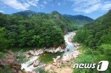 울진 불영계곡 가봐야 될 관광명소 99곳 선정