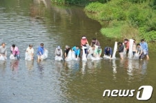 [사진] 영주 가흥2동, 서천 토속 민물어종 방류