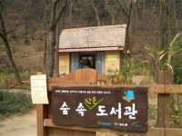 서울시 서울의 시원한 가을숲에서 독서하세요