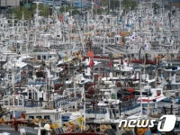 [사진]태풍 산바가 오고 있다