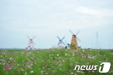 안산 대부바다향기테마파크 16일 개장(종합)