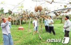 전남 고흥군, 태풍 피해 과수 농가 현장 컨설팅 운영