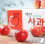 예산 증실골사과정보화마을, 사과 인터넷 판매 개시