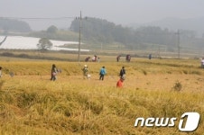 이천시 부래미 마을, 가족 미(米)뚜기 축제 개최