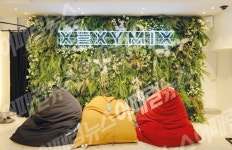 패션 hot 플레이스 - ‘젝시믹스’ 가로수길점