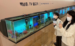 갤러리아百, 백남준 탄생 90주년 맞아 ‘TV 물고기’ 전시