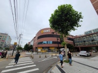 [스마트폰으로 멋진 사진 찍기 ①] 스마트폰 카메라, 이것만은 꼭 확인하자