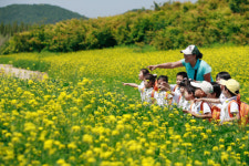 야생화단지 봄꽃축제 즐기세요