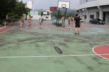 연천군 흉물 체육 시설물 눈살