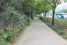 연수구, 미추홀길 경관 개선사업 이달 중 착공