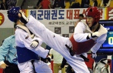 태권도 고수들 태백서 한판승부