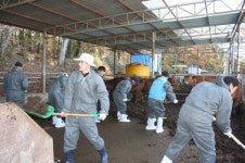 여주사랑 농협봉사단, 축산농가서 봉사