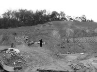 개발 붐 평택 林野 여의도 만큼 사라져