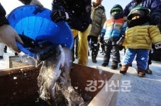 가평 자라섬 씽씽축제 송어 많이 잡아가세요
