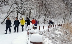 눈꽃 만발한 입춘