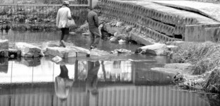 유실된 징검다리 조마조마