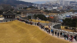 길은 외줄기… 화성따라 200년 역사기행 장관
