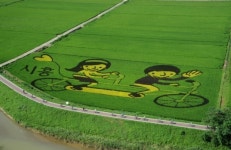 건강한 자연·따뜻한 공동체 실현… 새로운 100년 힘찬 날갯짓