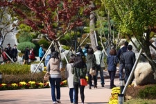 주민과 함께한 용암제 축제 성료