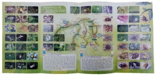 오산시 마등산 생태지도 제작