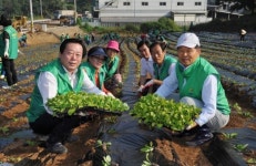 새마을운동 광주지회, 사랑의 김장 배추심기 행사