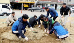 새 봄맞아 내 고장 거리마다 봄꽃 단장
