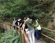 숲 체험 프로그램으로 스트레스 훌훌