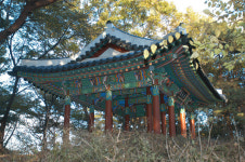 하나된 우리 마을 지역발전 한마음웃음꽃 절로 피네
