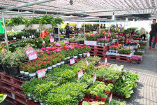 농가소득 증진·지역사회 상생 앞장… 농가·시민 기쁨 두배