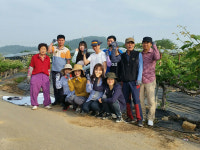 송산농업협동조합 임직원, 농가 방문 일손돕기 땀 송글