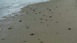 자월도 장골해수욕장 정비 부실… 관광객 발길 뚝