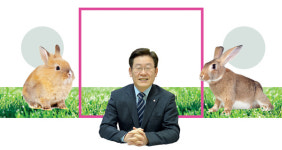 성남 시민에게 두마리 토끼 드려요