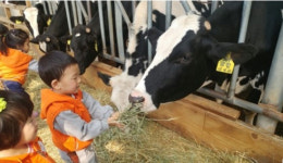 온가족 즐거운 목장체험 목장은 이웃에 사랑나눔 자주 오소