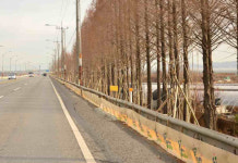 계양구, 드림로 방재림 조성공사 완료